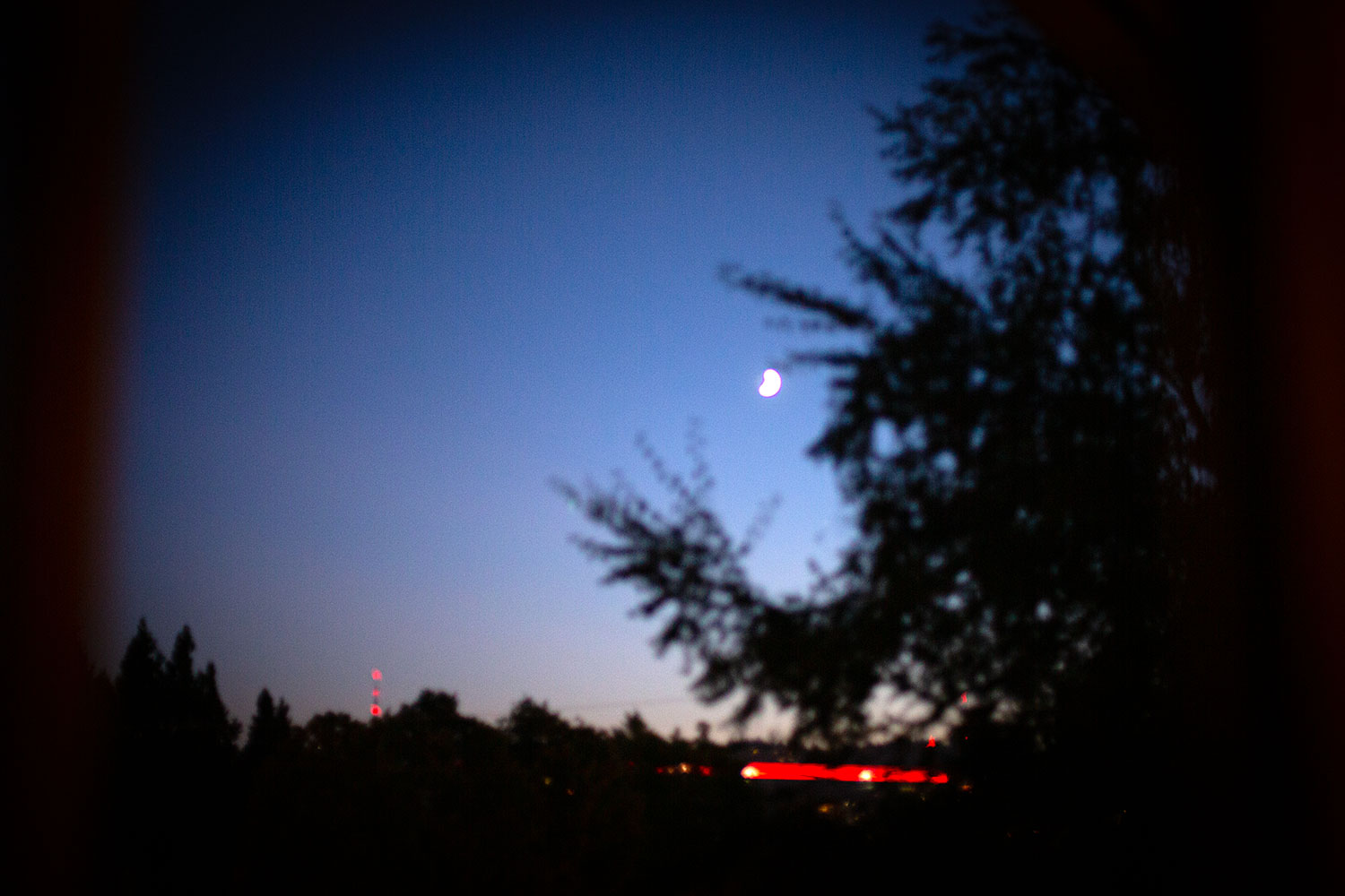 everything out of focus, a dark night, a waxing moon, evergreen branches dark