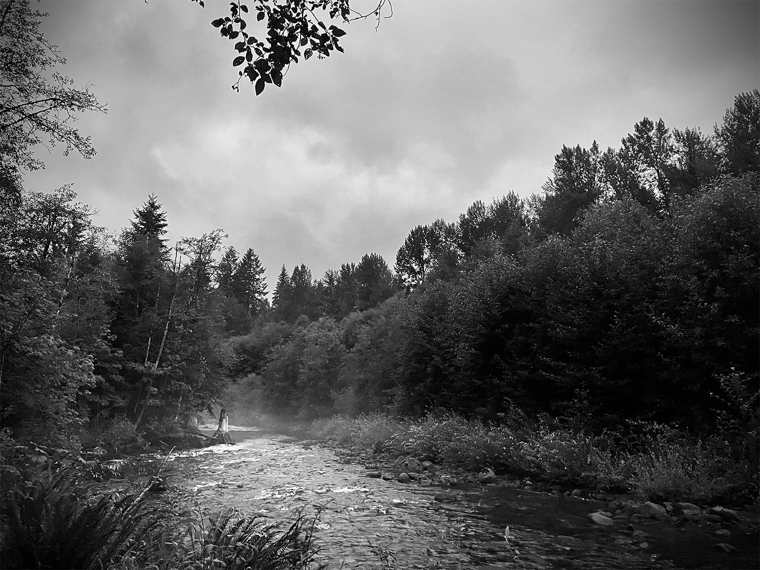 A faint mist rises off a mountain river, the banks of which are bounded by trees