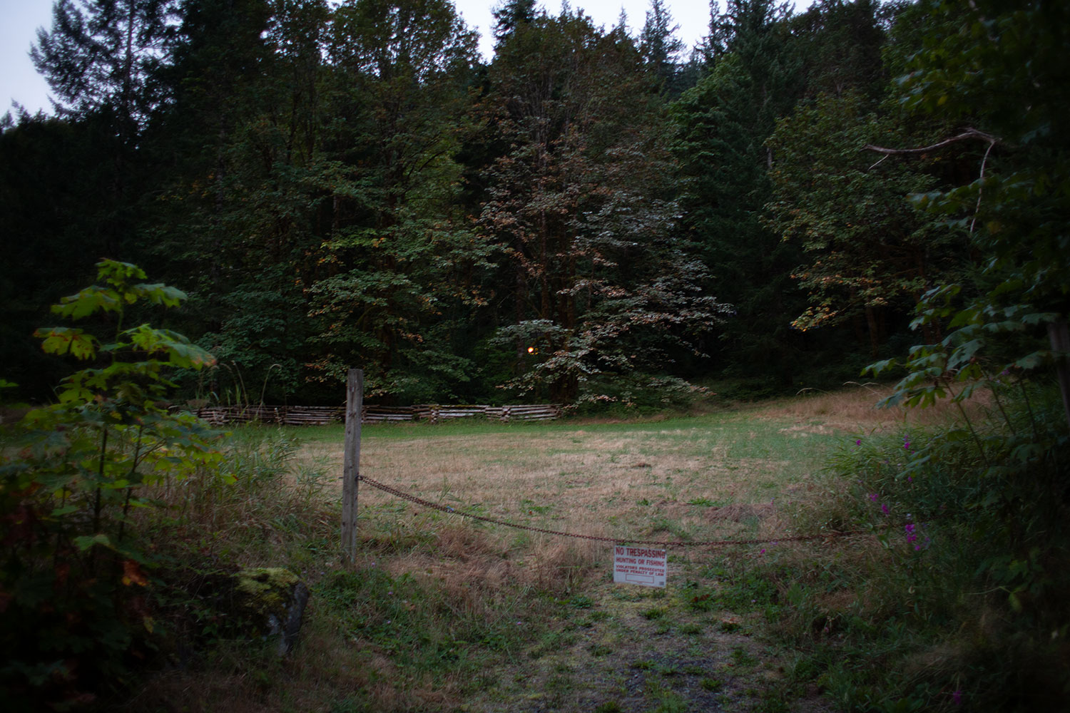 A rather dark photograph of a meadow on the brink of fall