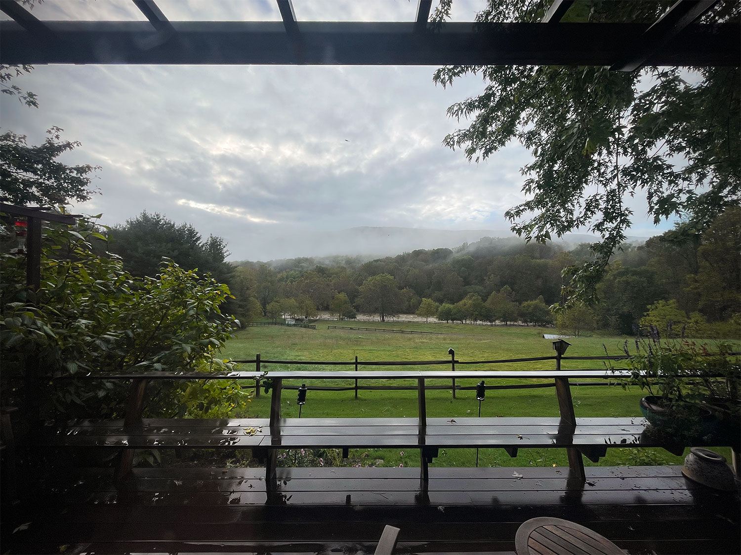 A view of the north fork of the Shenandoah, with a green field in the foreground